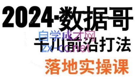 数据哥·2024年千川前沿打法落地实操课-副业心选