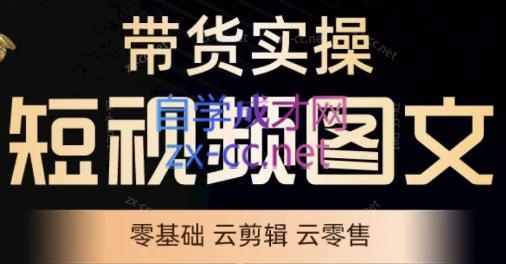 鑫哥·2024零基础短视频带货实操营-副业心选