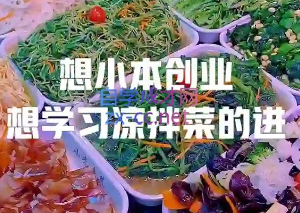 李记·精品凉拌菜系列热卤系列教程-副业心选