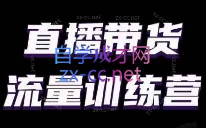 婉婉·直播带货课程系列合集(更新8月)-副业心选