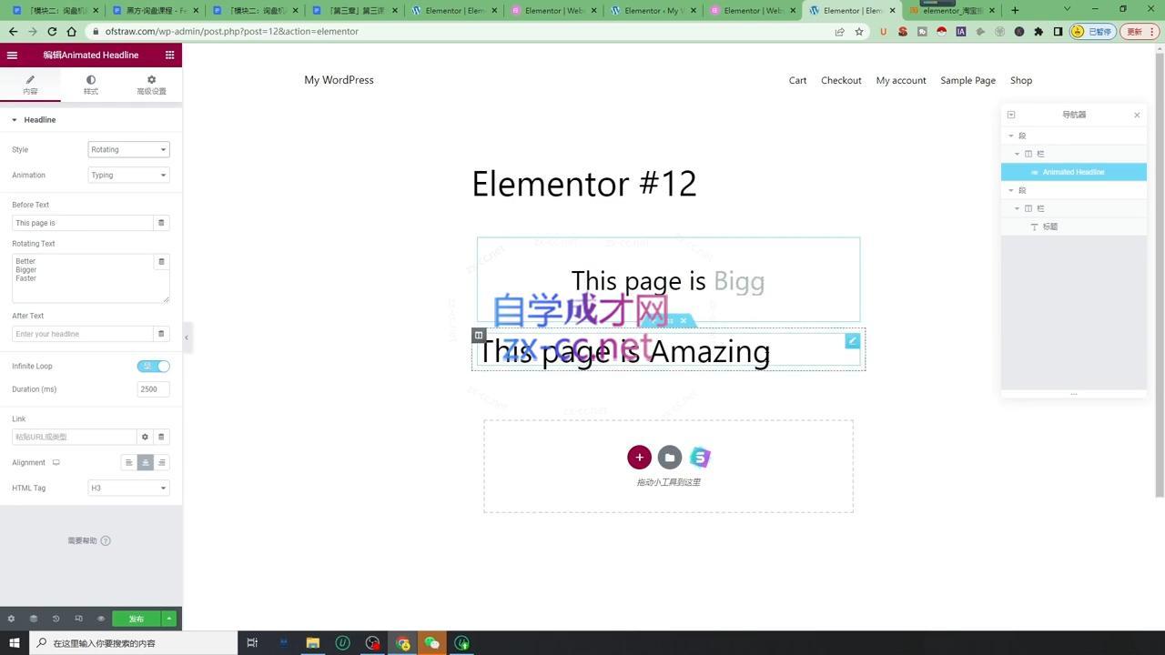 图片[2]-黑方老师·谷歌B端独立站建站推广 - 副业心选-副业心选