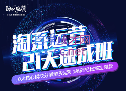 淘系运营21天速成班(更新24年6月)-副业心选