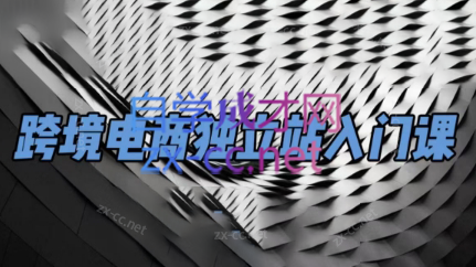 团长·跨境电商独立站入门课(2小时精华)-副业心选