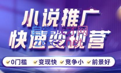 洲洲老师·小说推广快速变现营-副业心选