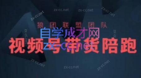 狼团联盟·2024视频号带货-副业心选