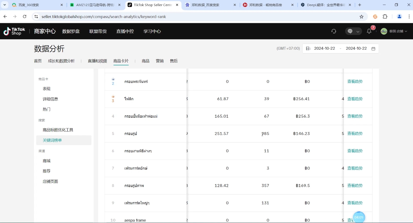 大鱼老师·Tiktok东南亚小店运营-副业心选
