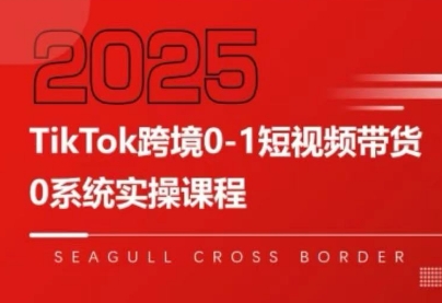 大亿老师·TikTok跨境0-1短视频带货-副业心选