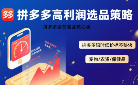 久号老师·拼多多选品暴利技术实战课-副业心选