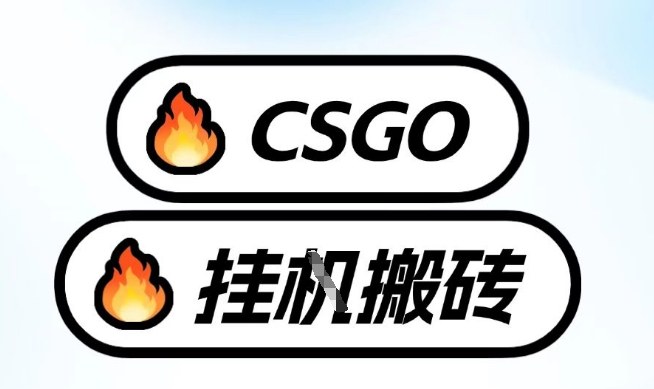 真全网独家CSGO挂G，最新玩法,单日捡漏1K+，不用电脑，不用打游戏【揭秘】-副业心选