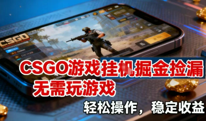 CSGO游戏挂G掘金捡漏，不需要玩游戏，操作简单，收益稳定【揭秘】-副业心选