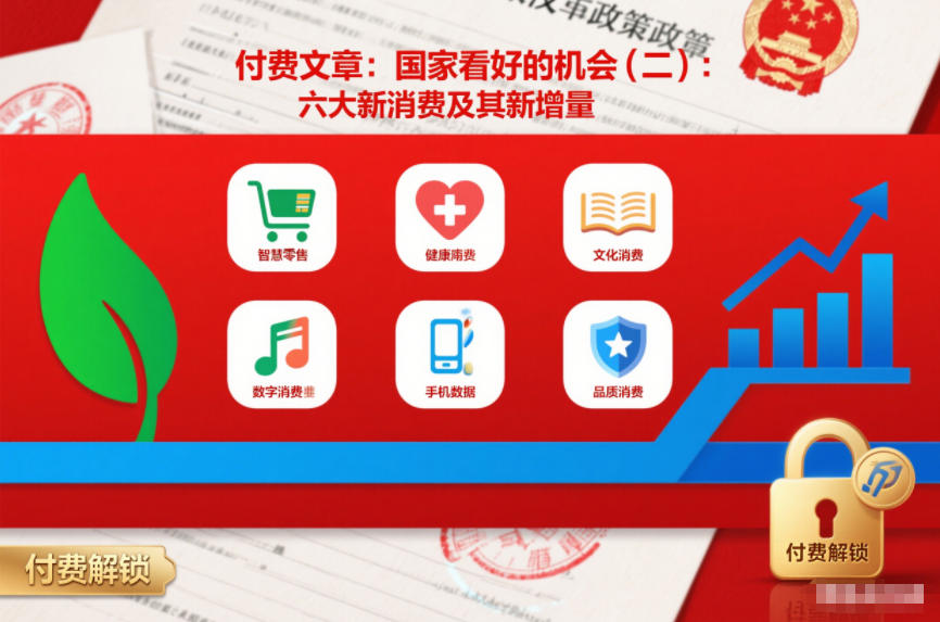 付费文章：国家看好的机会(二)：六大新消费及其新增量-副业心选