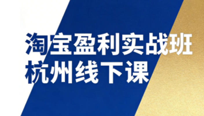 淘宝盈利实战班杭州线下课12月26-28日(音频+字幕)，帮你掌握SOP流程+12门核心技术-副业心选
