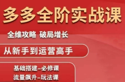 大炮·拼多多全阶实战课程(更新2026)-副业心选