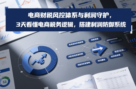 电商财税风控体系与利润守护，3天看懂电商税务逻辑，搭建利润防御系统-副业心选