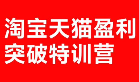 玺承·淘宝天猫盈利突破特训营(25年12月线下课)【音频+字幕】-副业心选
