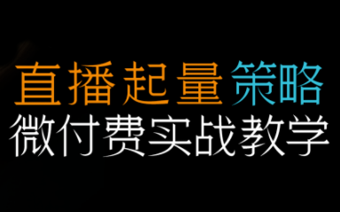 半野老师·直播带货起量与微付费必学课视频号(更新2026)-副业心选