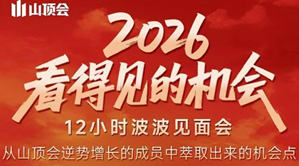 波波·2026看得见的机会12小时波波见面会(东莞线下课2月1日)-副业心选