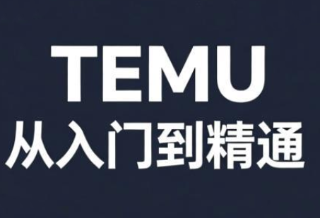 跨境麦冬·TEMU从入门到精通-副业心选