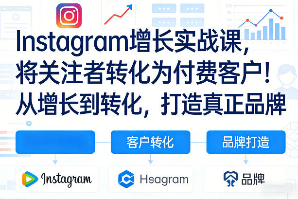 Instagram增长实战课，将关注者转化为付费客户！从增长到转化，打造真正品牌(双语字幕)-副业心选