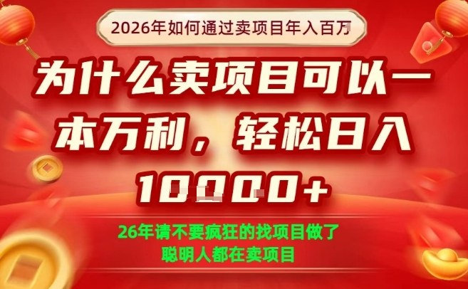 一单净利润1K+，26年想年入100个W，死磕卖项目就够了【揭秘】-副业心选