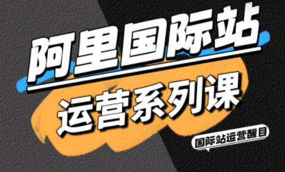 醒目老师·阿里国际站运营系列课(更新3月)-副业心选