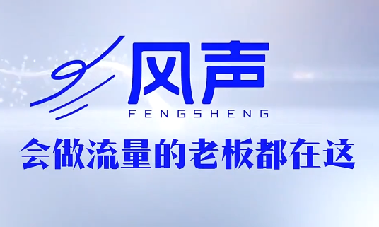 董十一·风声短视频AI获客年度会员-副业心选