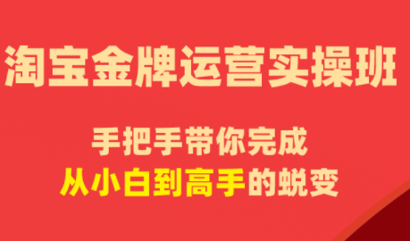 飓风电商·淘宝金牌运营实操班 - 副业心选-副业心选