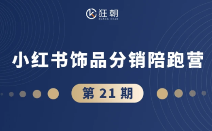 盗坤·抖音小红书视频号短视频带货与直播变现(11-21期)【更新】-副业心选