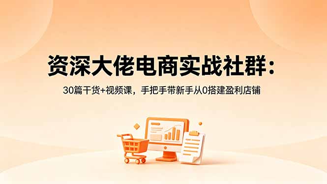 资深大佬电商实战社群：30篇干货+视频课，手把手带新手从0搭建盈利店铺-副业心选