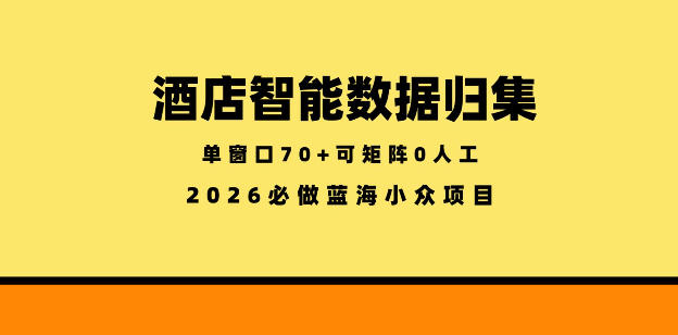 酒店智能数据归集，小众蓝海已经稳定半年之久，单窗口70+零成本矩阵开干【揭秘】 - 副业心选-副业心选