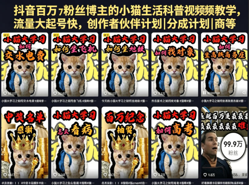 抖音百万粉丝博主的小猫生活科普视频教学，流量大起号快，创作者伙伴计划|分成计划|商单|收徒等-副业心选