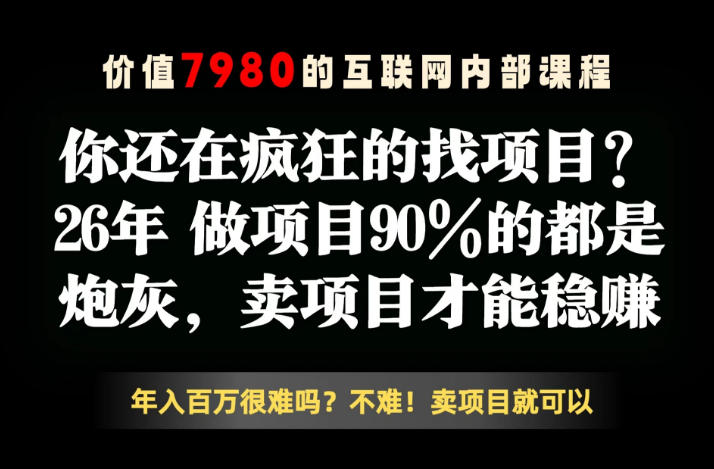 26年请不要疯狂的找项目了，卖项目远比你想象的暴利，你也可以月入10W+【揭秘】-副业心选