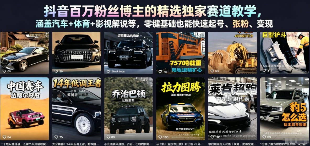 抖音百万粉丝博主的精选独家赛道教学，涵盖汽车+体育+影视解说等，零基础也能快速起号、涨粉、变现-副业心选