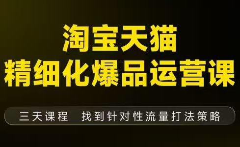 猫课子幽·淘宝天猫精细化爆品运营【音频+字幕+文档】(9月12-14杭州线下课)-副业心选